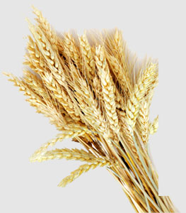 PA视讯(中国)集团官网 - PlayAce