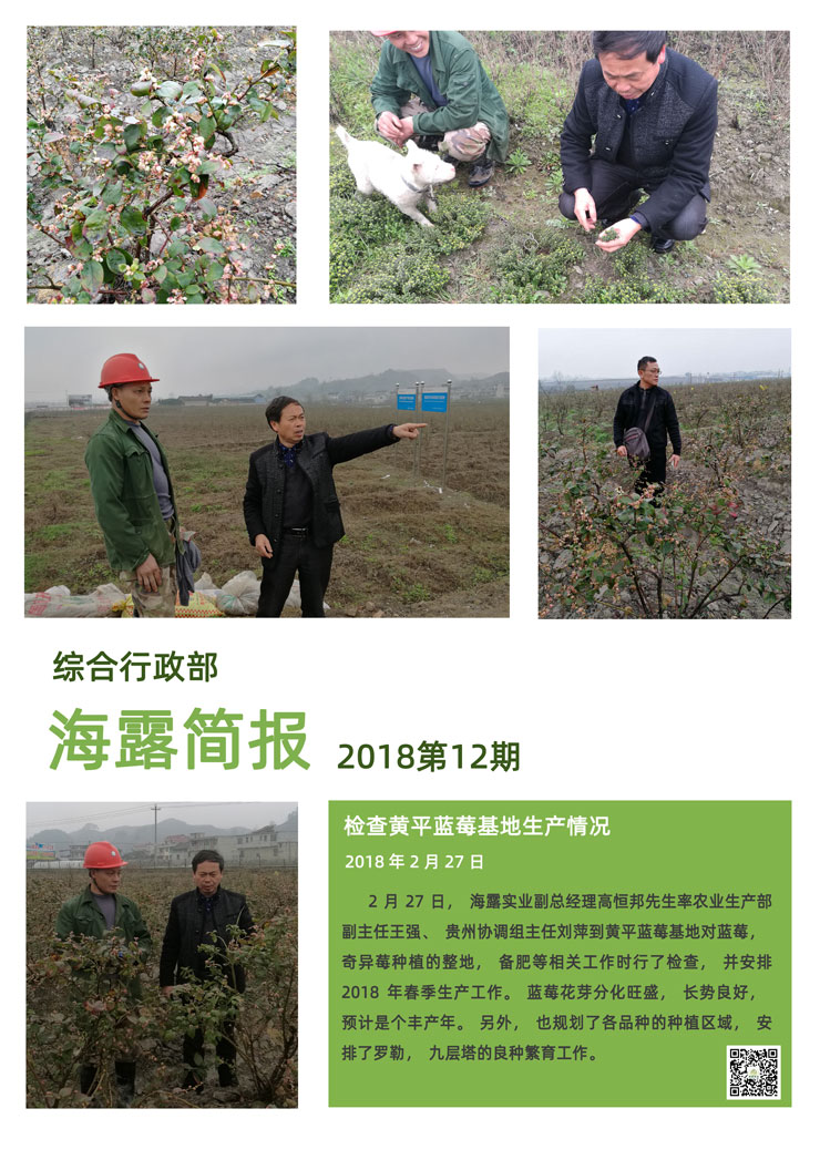 PA视讯(中国)集团官网 - PlayAce