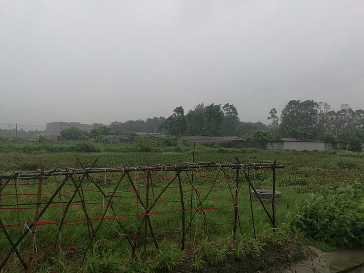 PA视讯(中国)集团官网 - PlayAce