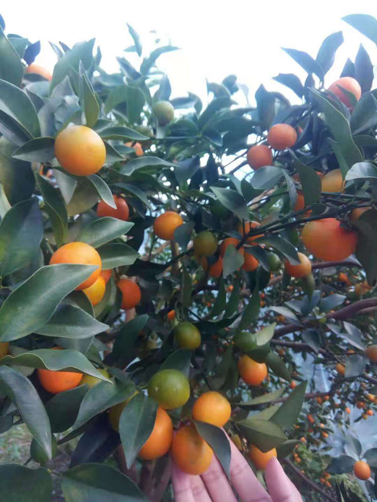 PA视讯(中国)集团官网 - PlayAce