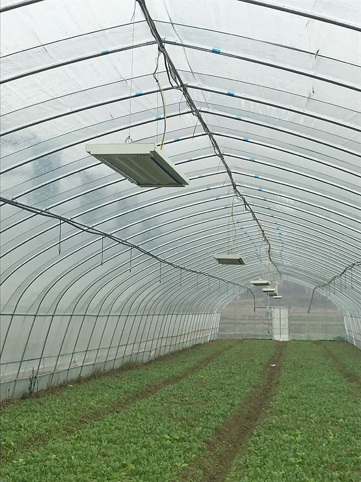 PA视讯(中国)集团官网 - PlayAce