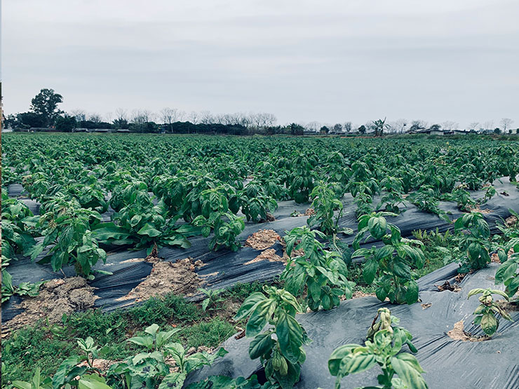 PA视讯(中国)集团官网 - PlayAce