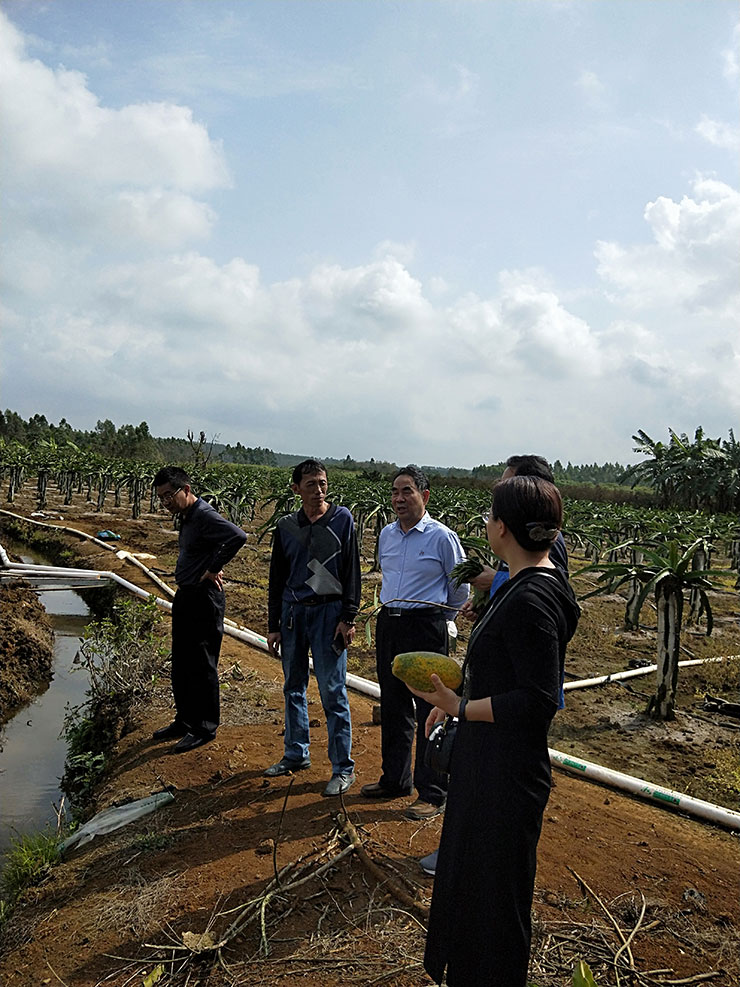 PA视讯(中国)集团官网 - PlayAce