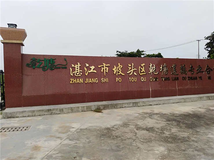 PA视讯(中国)集团官网 - PlayAce