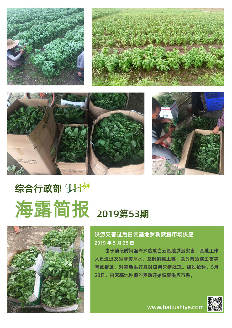 PA视讯(中国)集团官网 - PlayAce