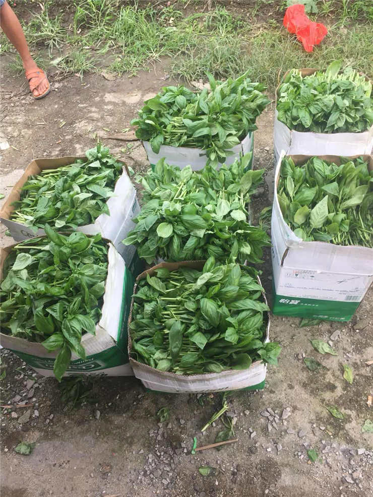 PA视讯(中国)集团官网 - PlayAce