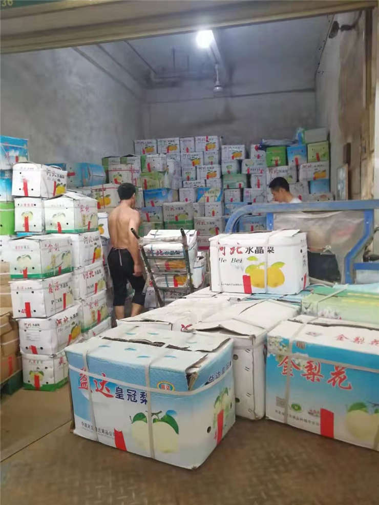 PA视讯(中国)集团官网 - PlayAce