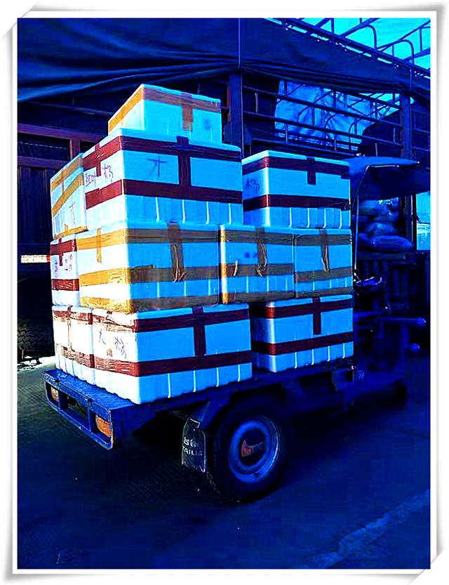 PA视讯(中国)集团官网 - PlayAce