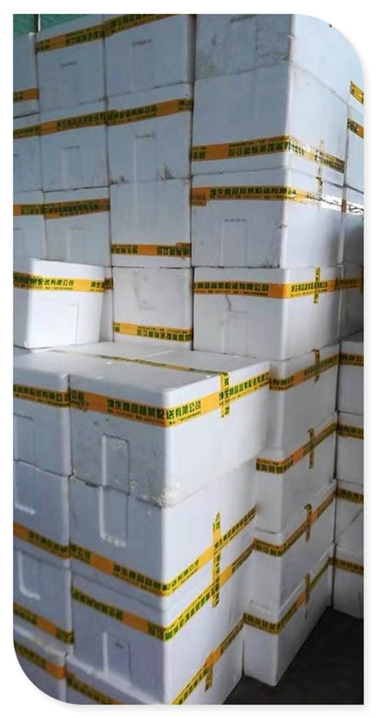 PA视讯(中国)集团官网 - PlayAce