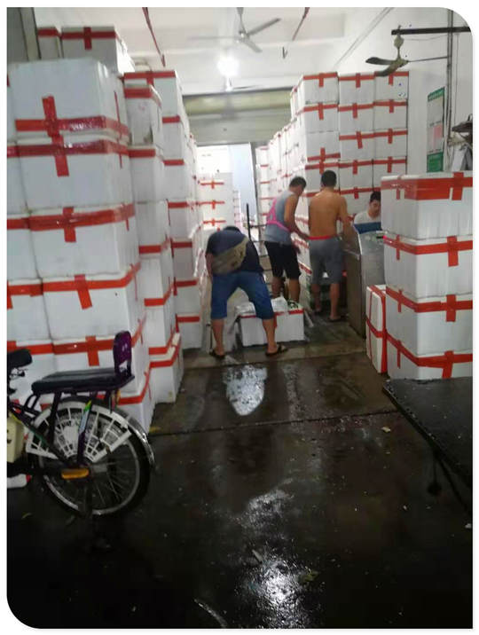 PA视讯(中国)集团官网 - PlayAce