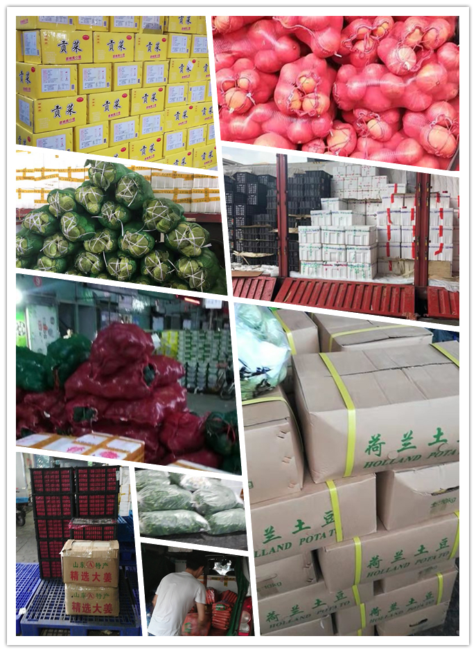 PA视讯(中国)集团官网 - PlayAce