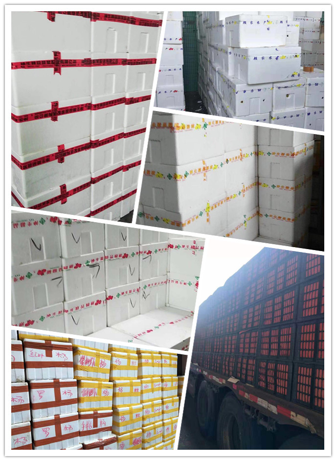 PA视讯(中国)集团官网 - PlayAce