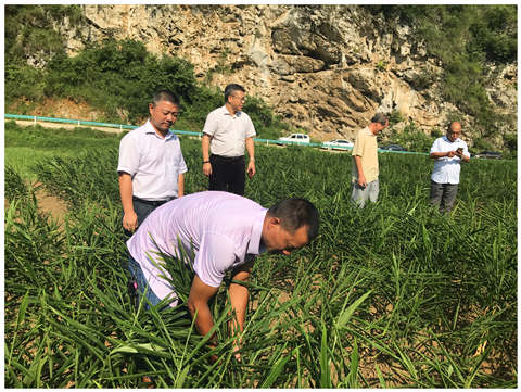 PA视讯(中国)集团官网 - PlayAce