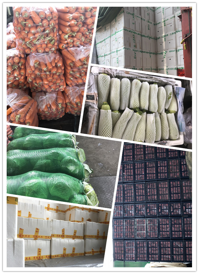 PA视讯(中国)集团官网 - PlayAce