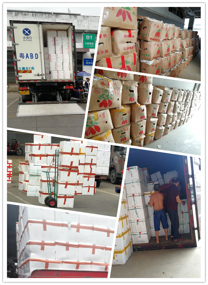 PA视讯(中国)集团官网 - PlayAce