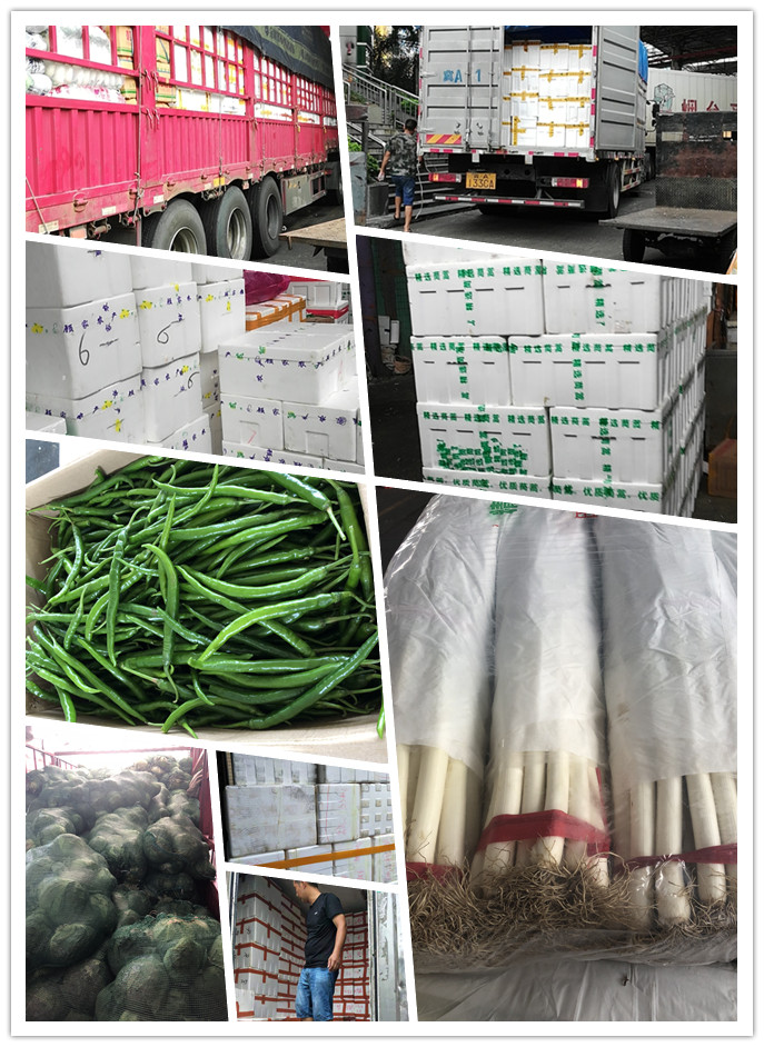 PA视讯(中国)集团官网 - PlayAce