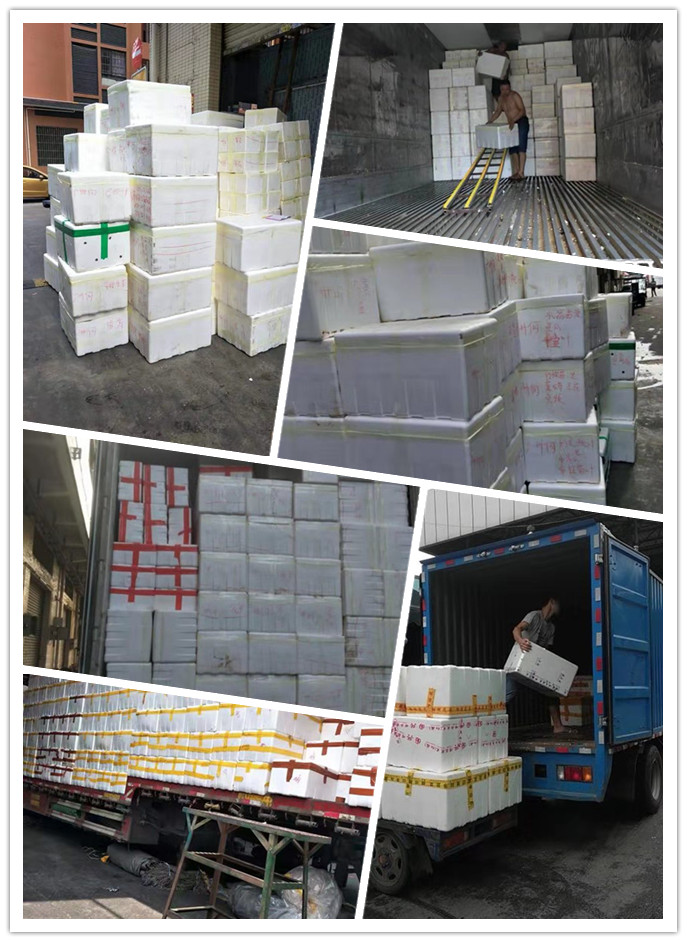 PA视讯(中国)集团官网 - PlayAce