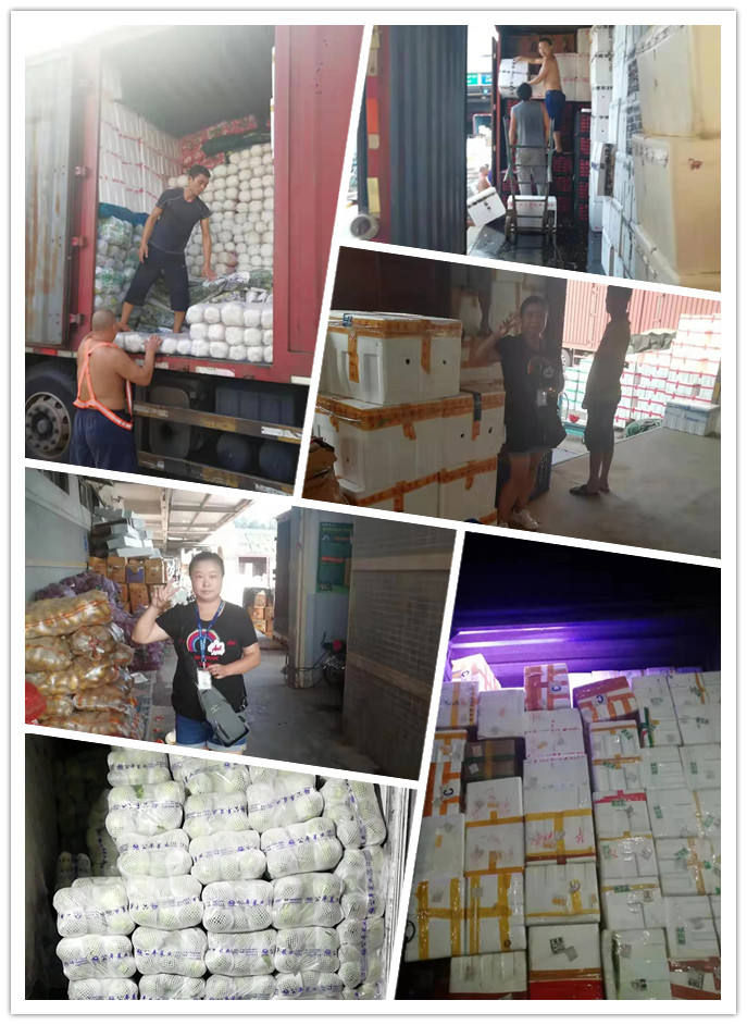 PA视讯(中国)集团官网 - PlayAce