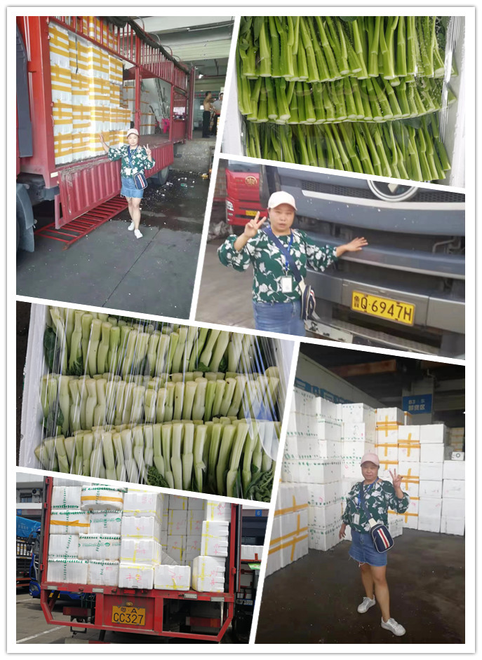 PA视讯(中国)集团官网 - PlayAce