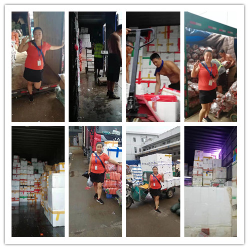 PA视讯(中国)集团官网 - PlayAce