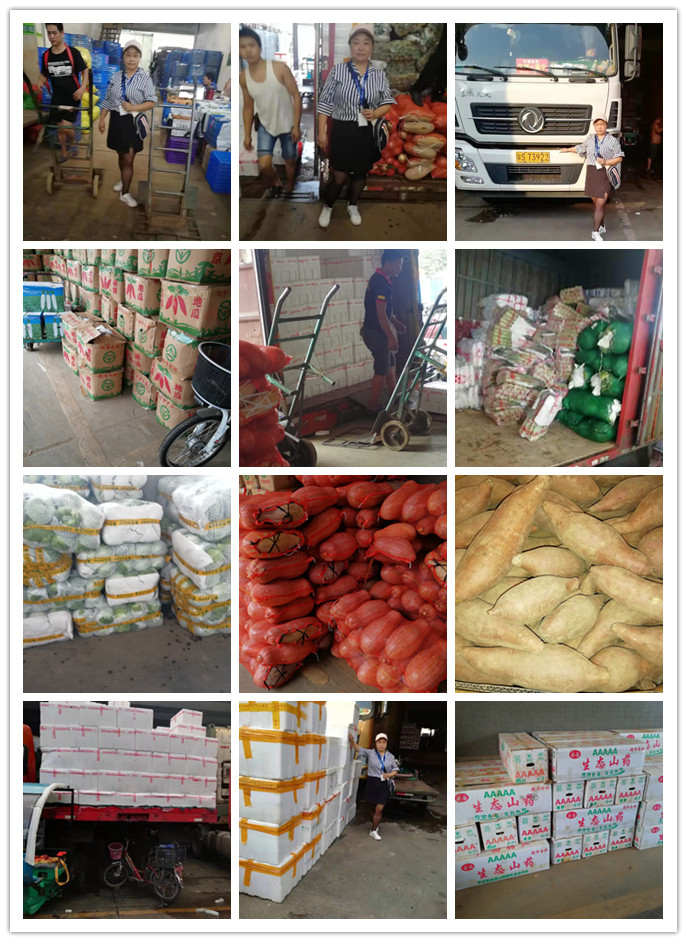 PA视讯(中国)集团官网 - PlayAce