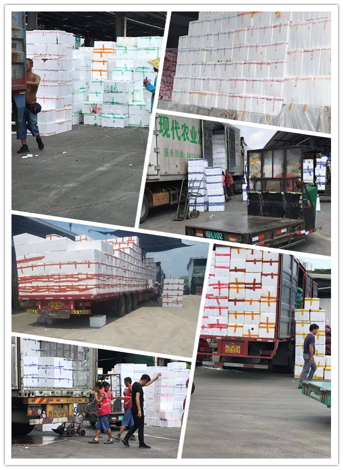 PA视讯(中国)集团官网 - PlayAce