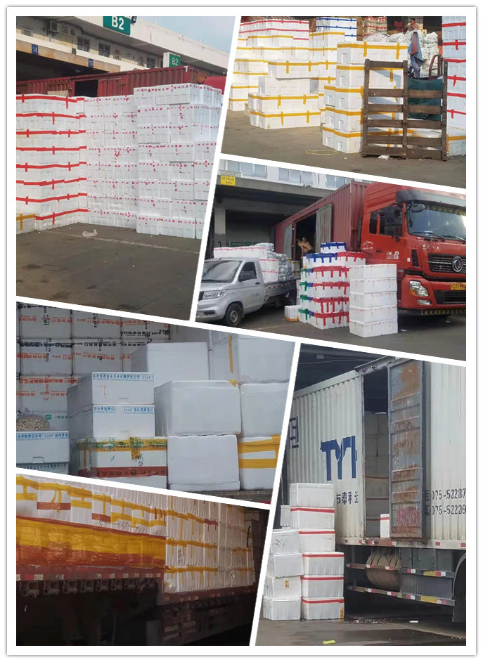 PA视讯(中国)集团官网 - PlayAce