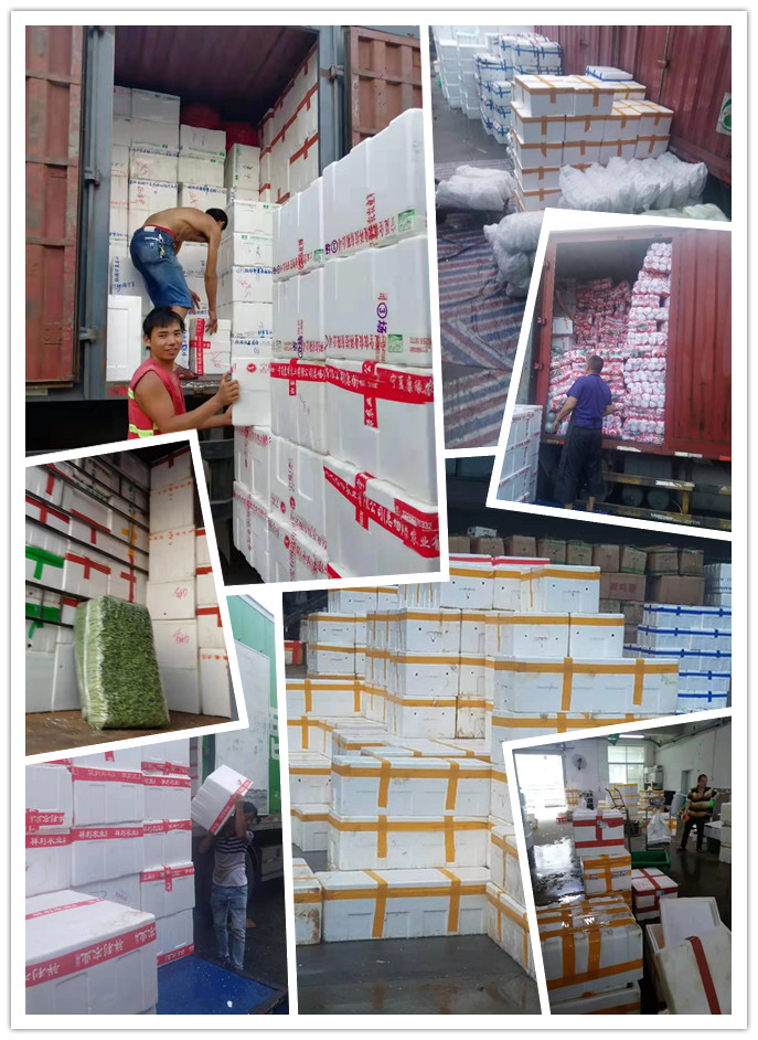 PA视讯(中国)集团官网 - PlayAce