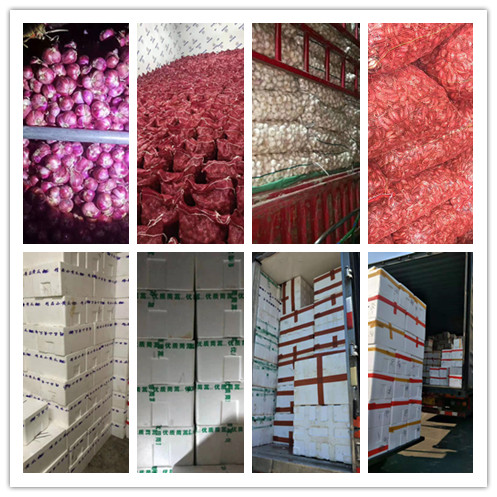 PA视讯(中国)集团官网 - PlayAce