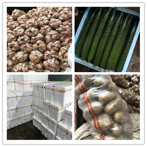 PA视讯(中国)集团官网 - PlayAce