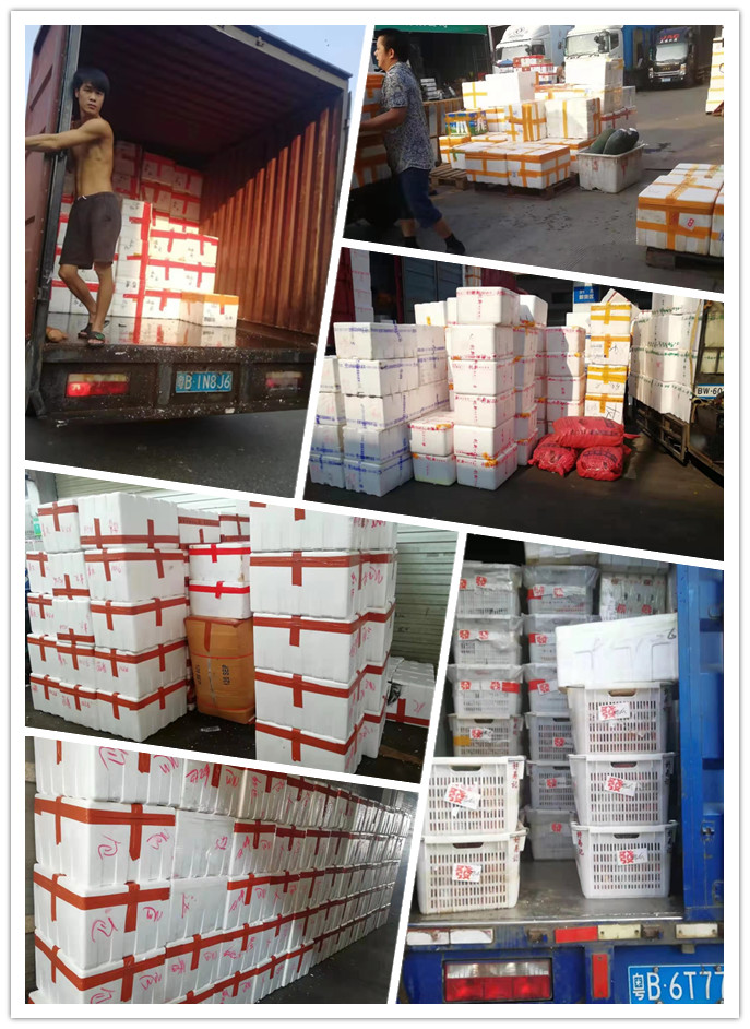 PA视讯(中国)集团官网 - PlayAce