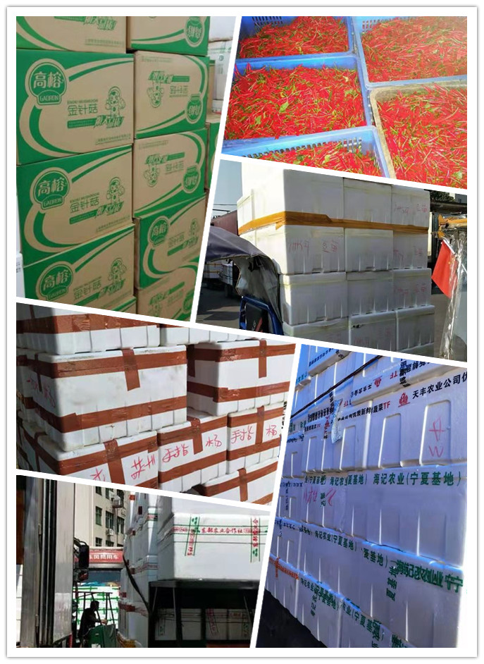 PA视讯(中国)集团官网 - PlayAce