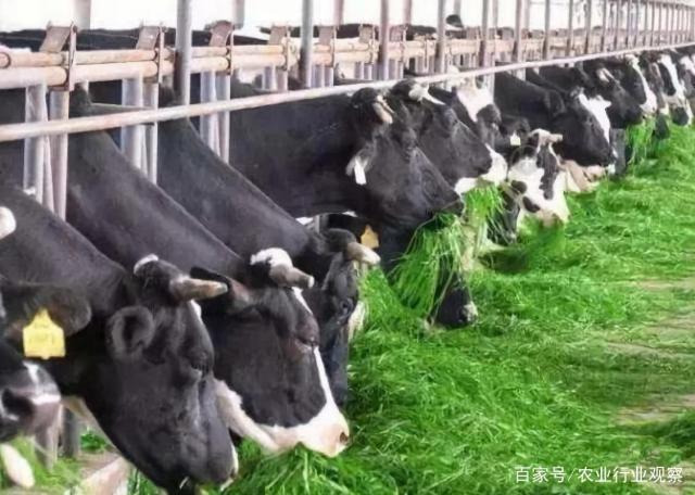 PA视讯(中国)集团官网 - PlayAce