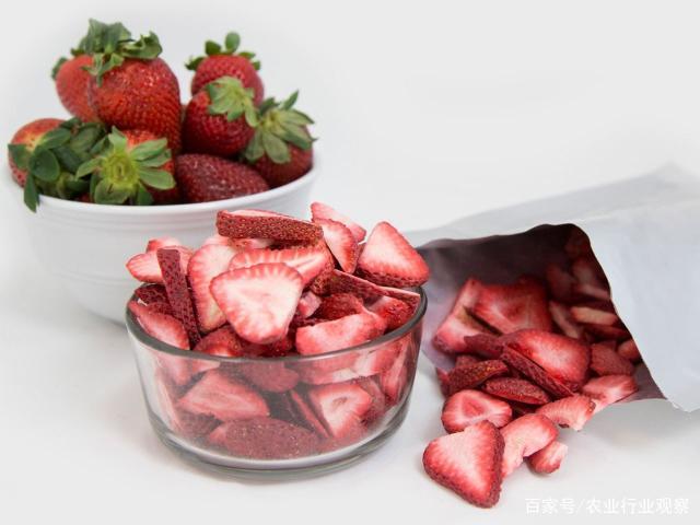 PA视讯(中国)集团官网 - PlayAce