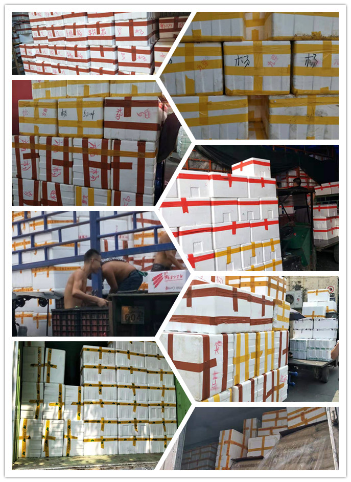 PA视讯(中国)集团官网 - PlayAce