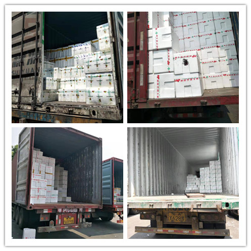 PA视讯(中国)集团官网 - PlayAce