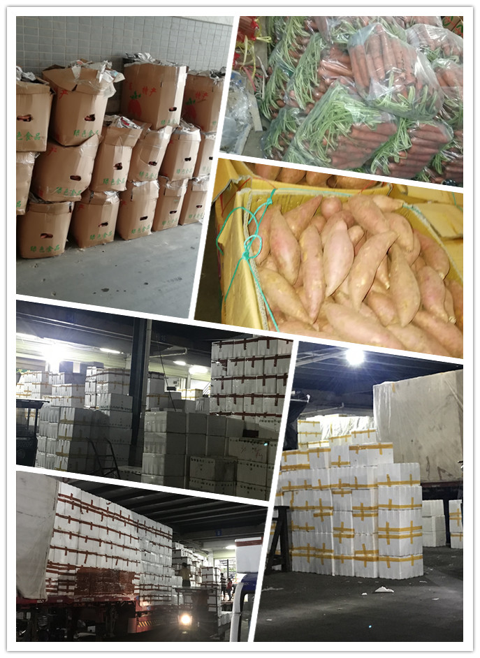 PA视讯(中国)集团官网 - PlayAce