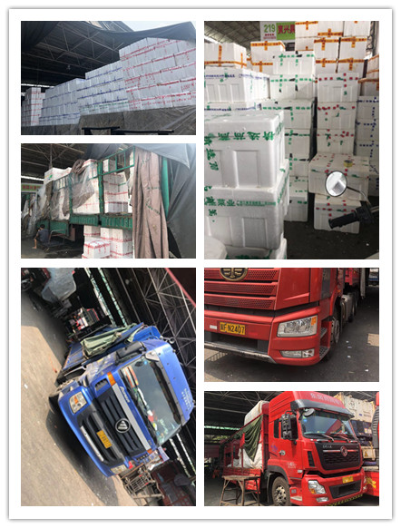 PA视讯(中国)集团官网 - PlayAce