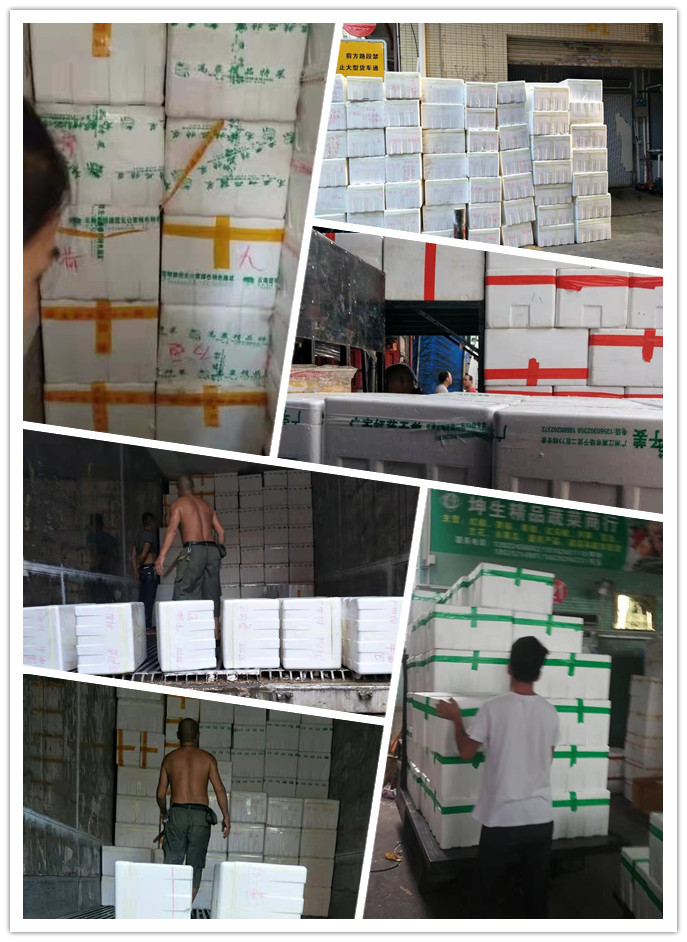 PA视讯(中国)集团官网 - PlayAce