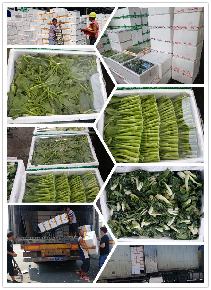 PA视讯(中国)集团官网 - PlayAce