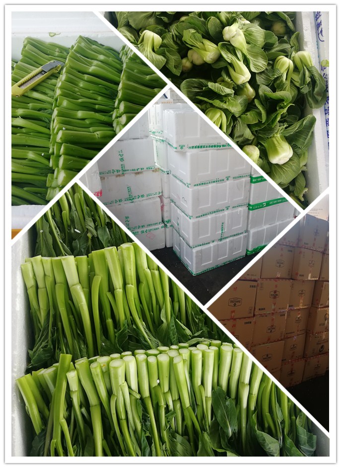 PA视讯(中国)集团官网 - PlayAce