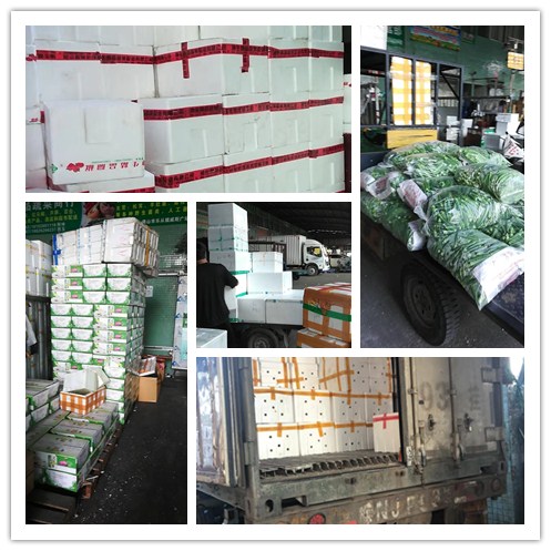 PA视讯(中国)集团官网 - PlayAce