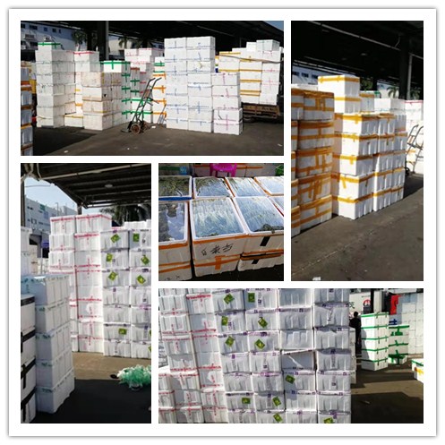 PA视讯(中国)集团官网 - PlayAce