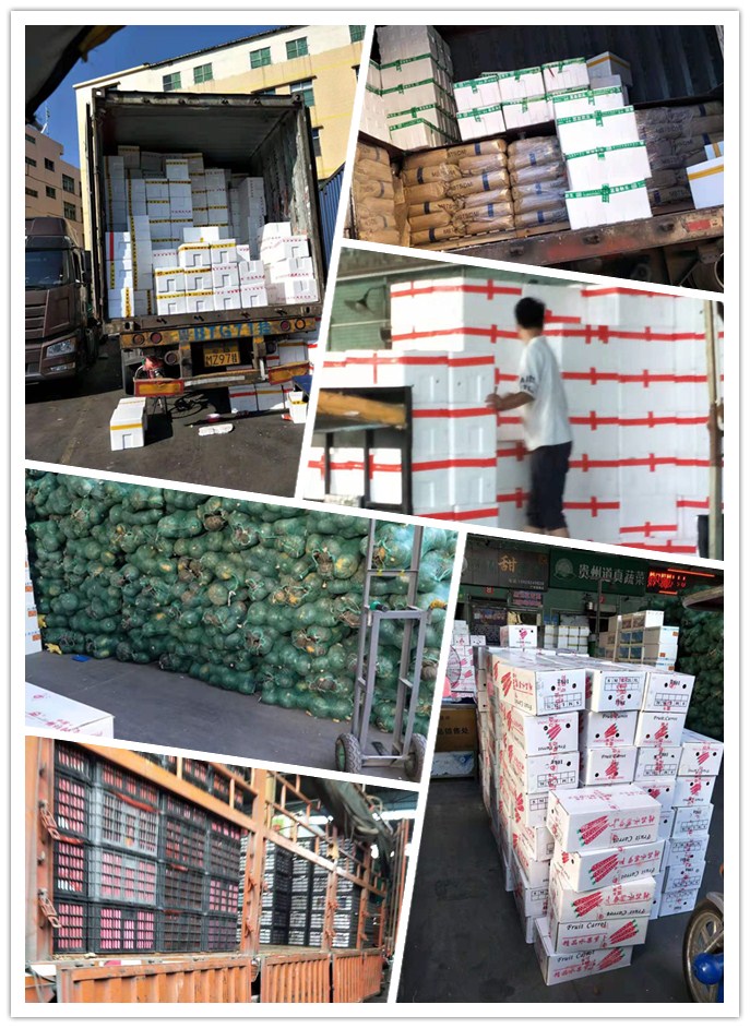 PA视讯(中国)集团官网 - PlayAce