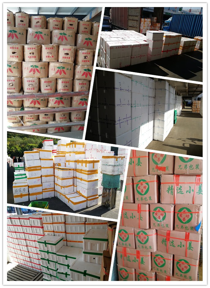 PA视讯(中国)集团官网 - PlayAce