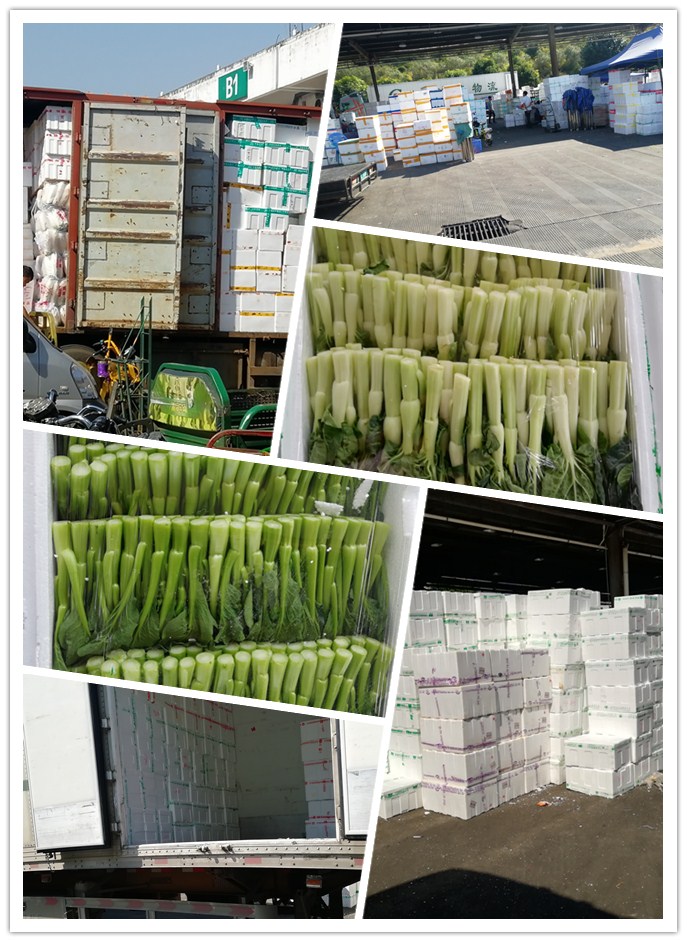 PA视讯(中国)集团官网 - PlayAce