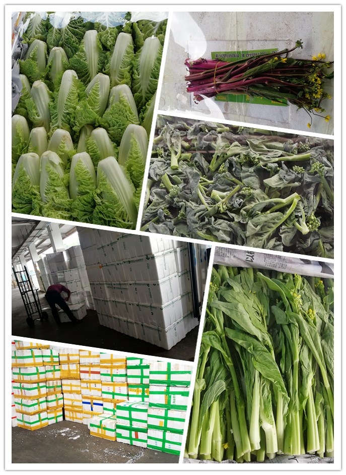 PA视讯(中国)集团官网 - PlayAce