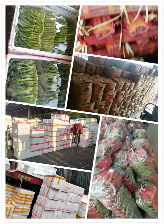 PA视讯(中国)集团官网 - PlayAce