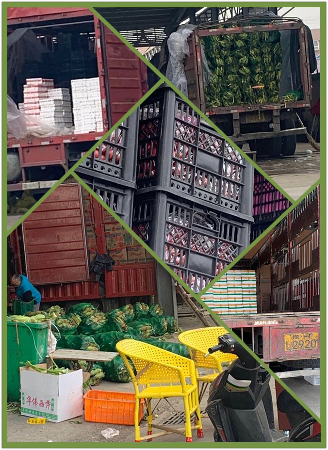 PA视讯(中国)集团官网 - PlayAce