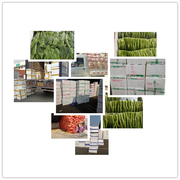 PA视讯(中国)集团官网 - PlayAce